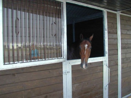 Stáje pro březí klisny a klisny s hříbaty